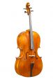 Conservatorium cello Montagna model 4/4 2