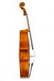 Conservatorium cello Montagna model 3