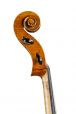 Conservatorium cello Montagna model 4/4 5