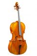 Meester cello 4/4 Maggini model 2