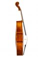 Meester cello 4/4 Maggini model 3