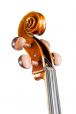 Meester cello 4/4 Maggini model 5