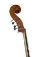 Meester Contrabas Concerto (viool model) 3
