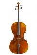 Markneukirchen Maestro professional 7/8 cello 1