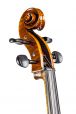 Markneukirchen Maestro professional 7/8 cello 5