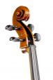 Markneukirchen professional 4/4 cello Model Guarneri 5